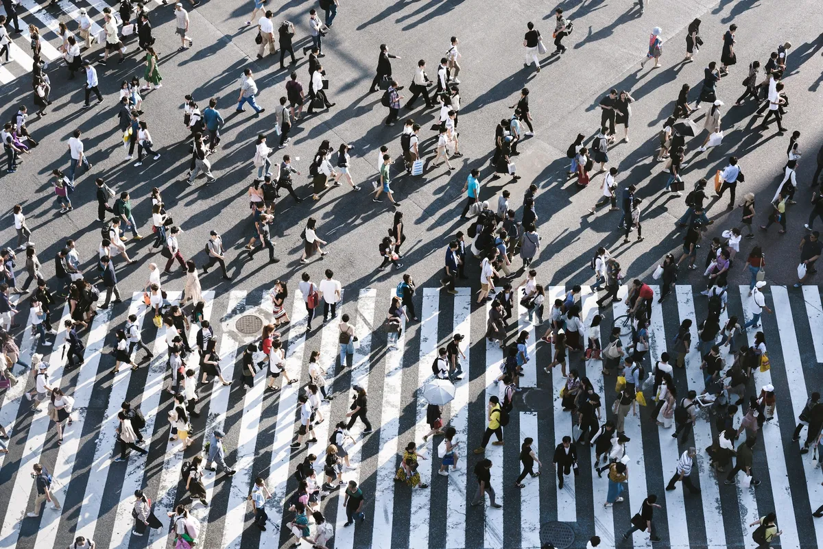 Aerial view of people walking on raod