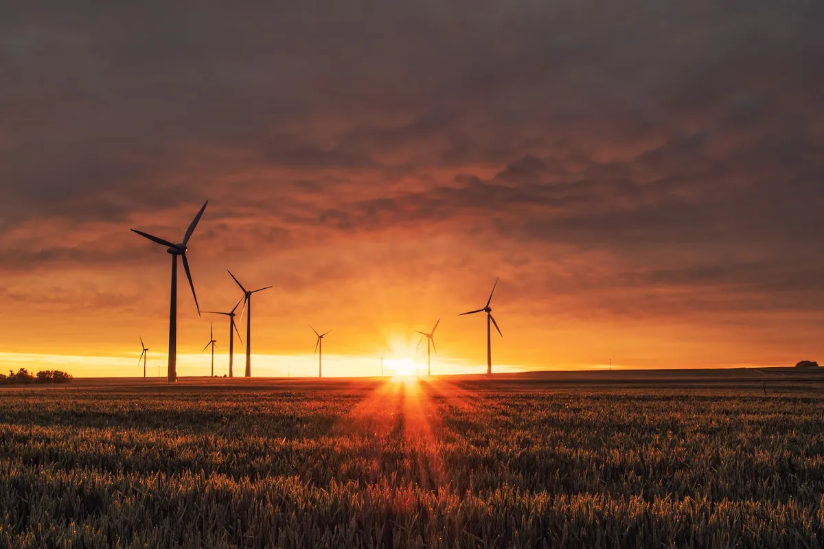 Wind turbines in an open field for renewable energy.