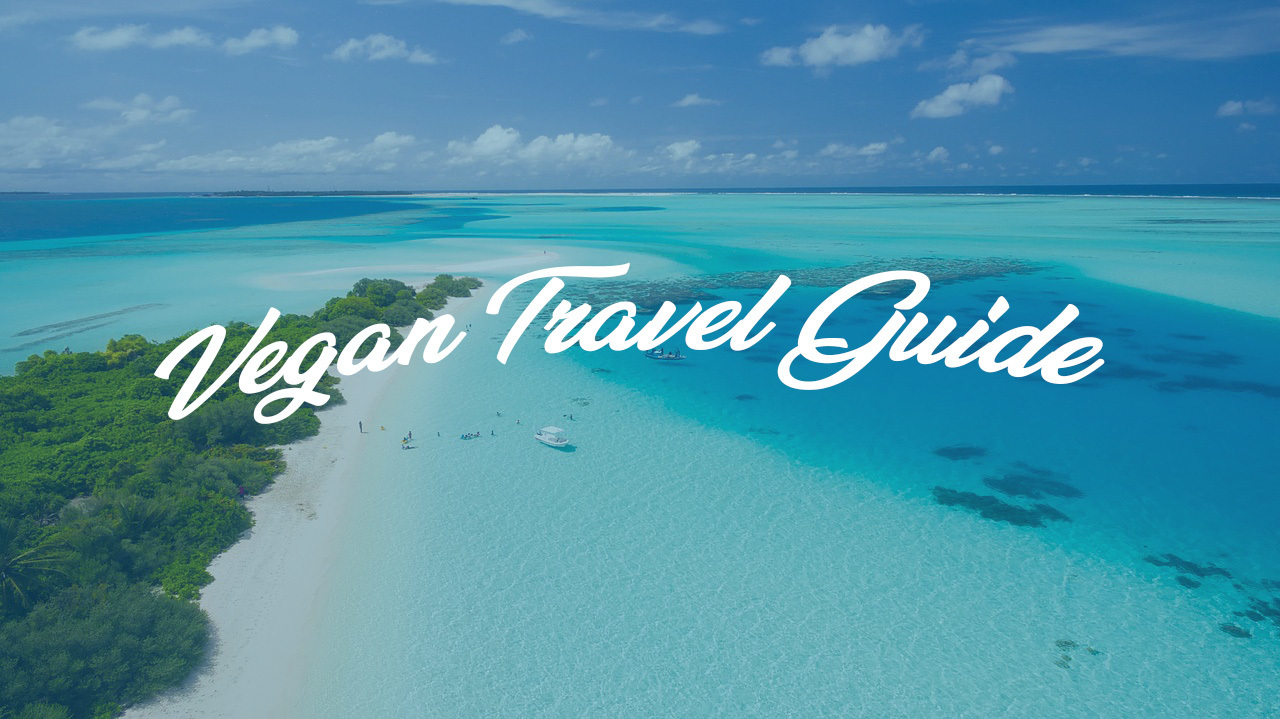 vegan travel guide by ardor seo vegan travel guide by ardor seo