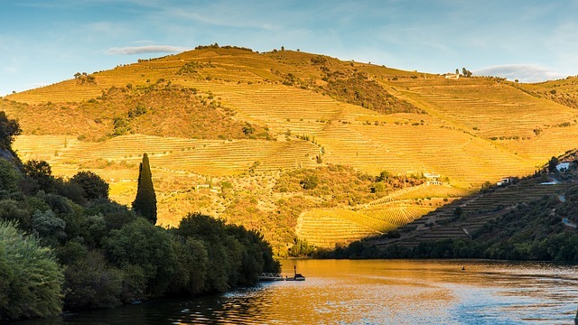 the douro river in portugal the douro river in portugal