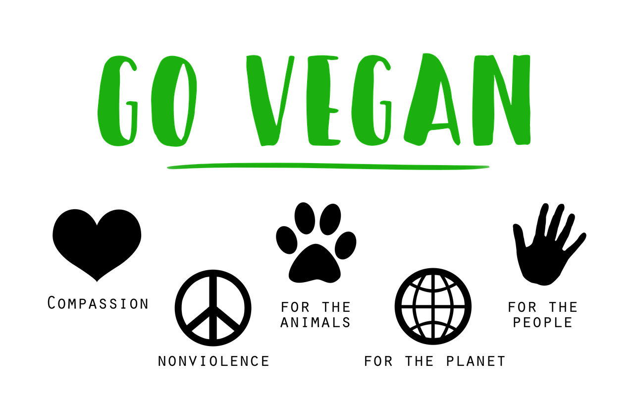 go vegan and help the world go vegan and help the world