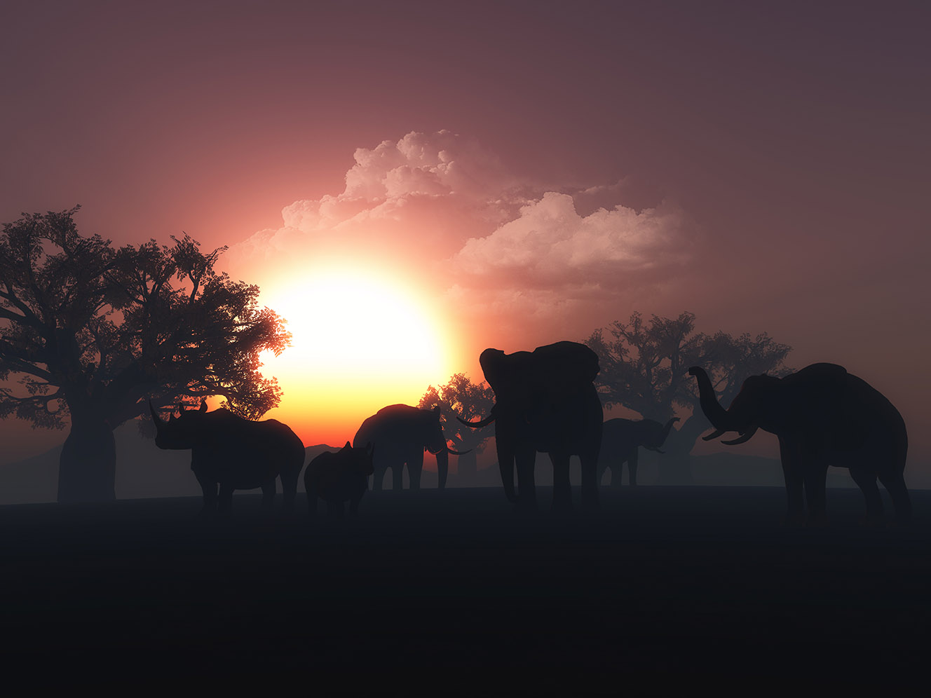 vegan-travel-guide-in-africa vegan travel guide in africa