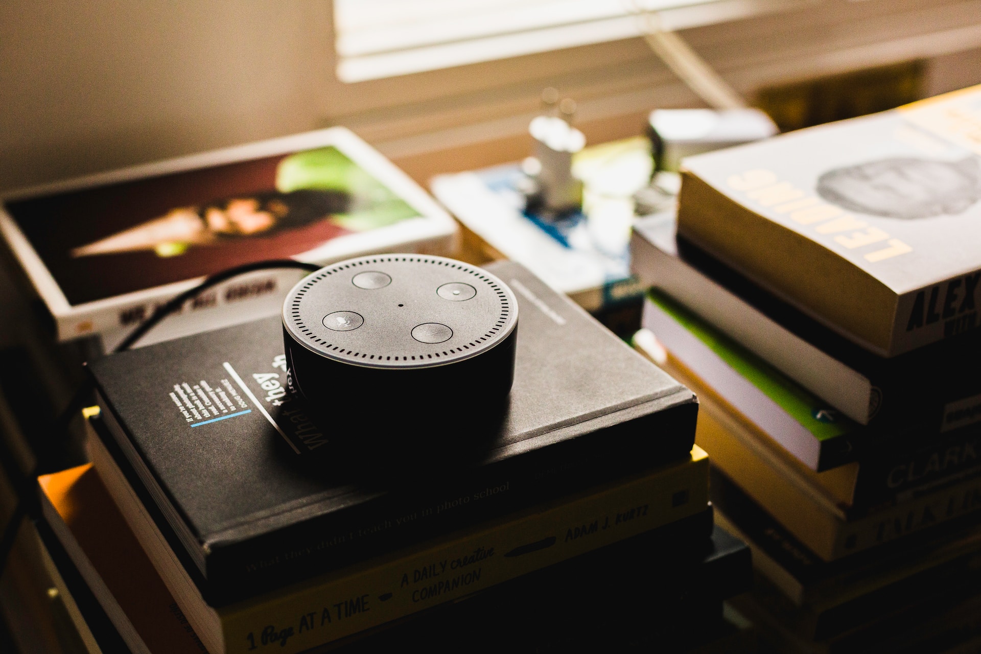 An Alexa on top of some books.