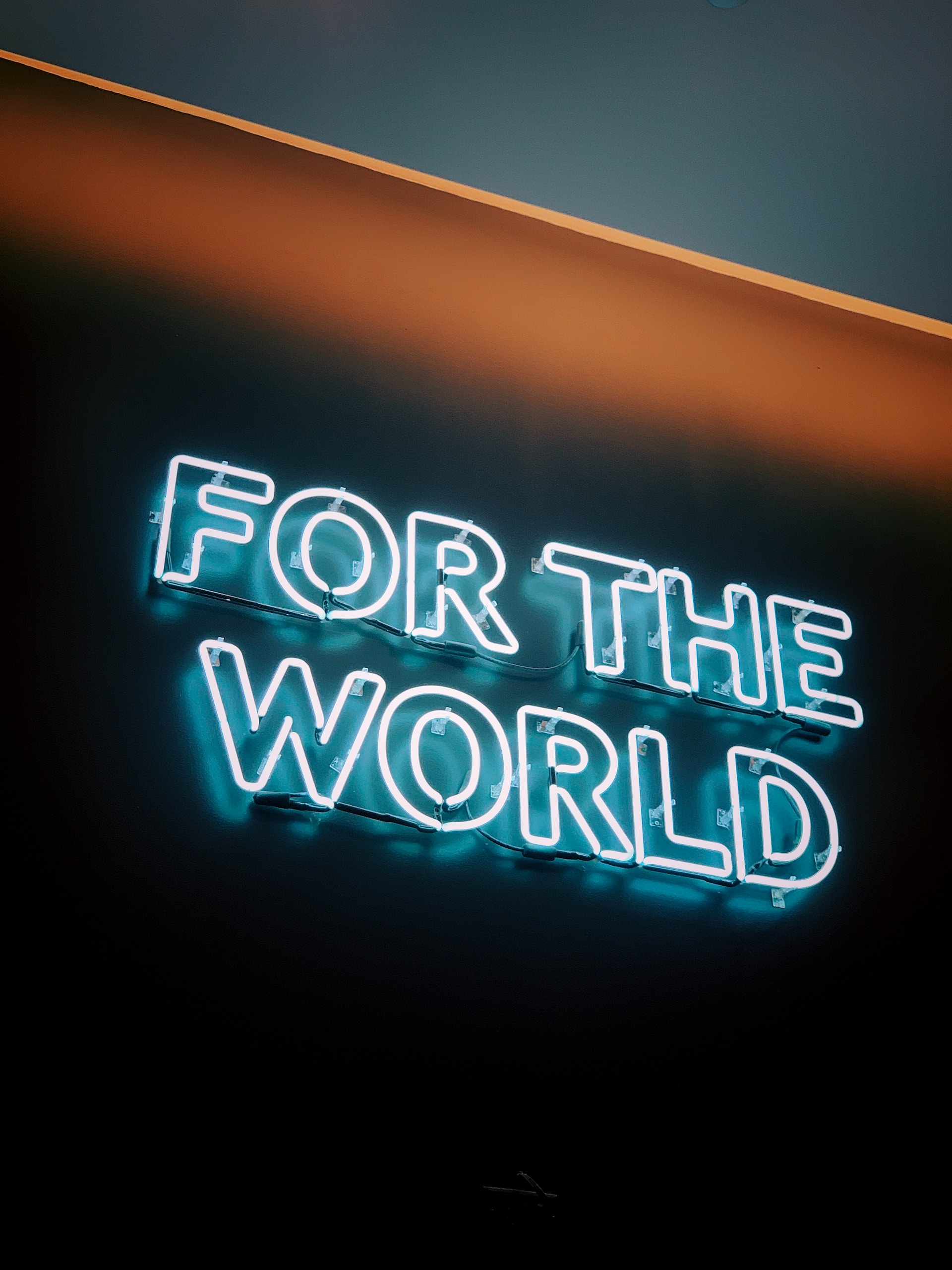 Neon sign with text saying For the world.